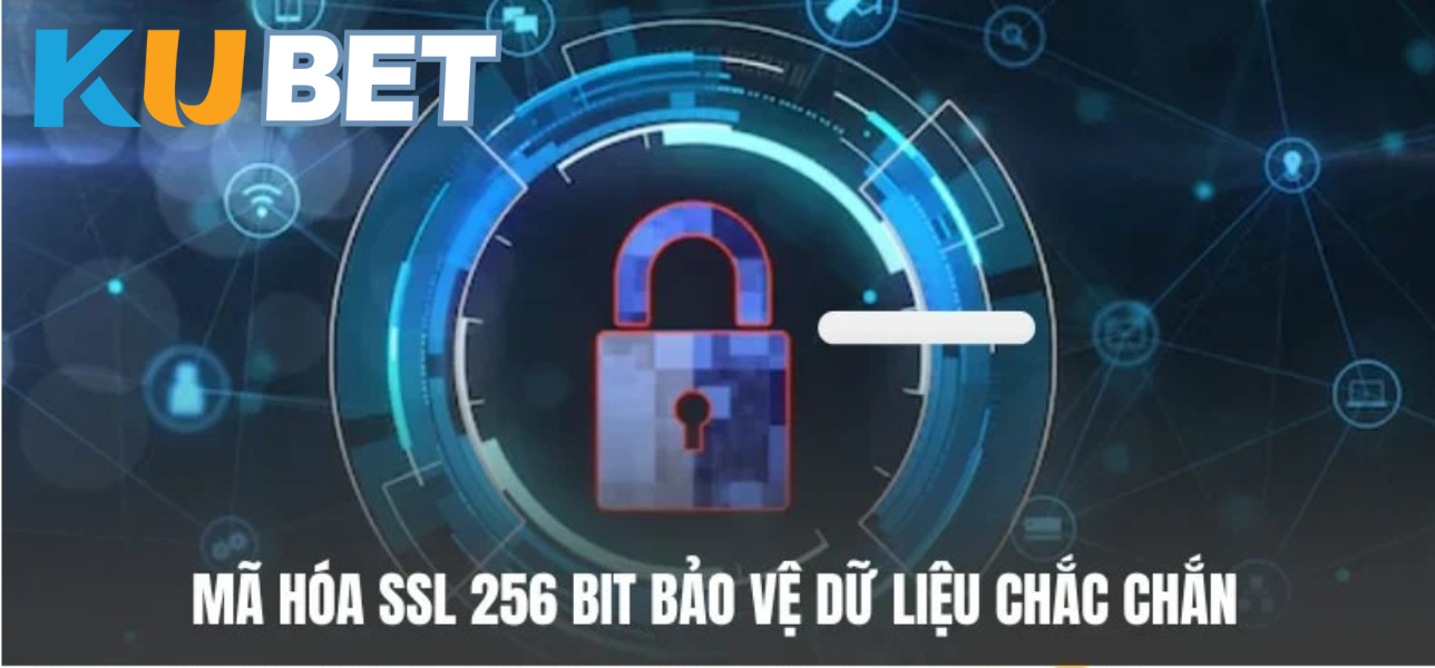 Công Nghệ Mã Hóa SSL 256-bit CN3789.NET