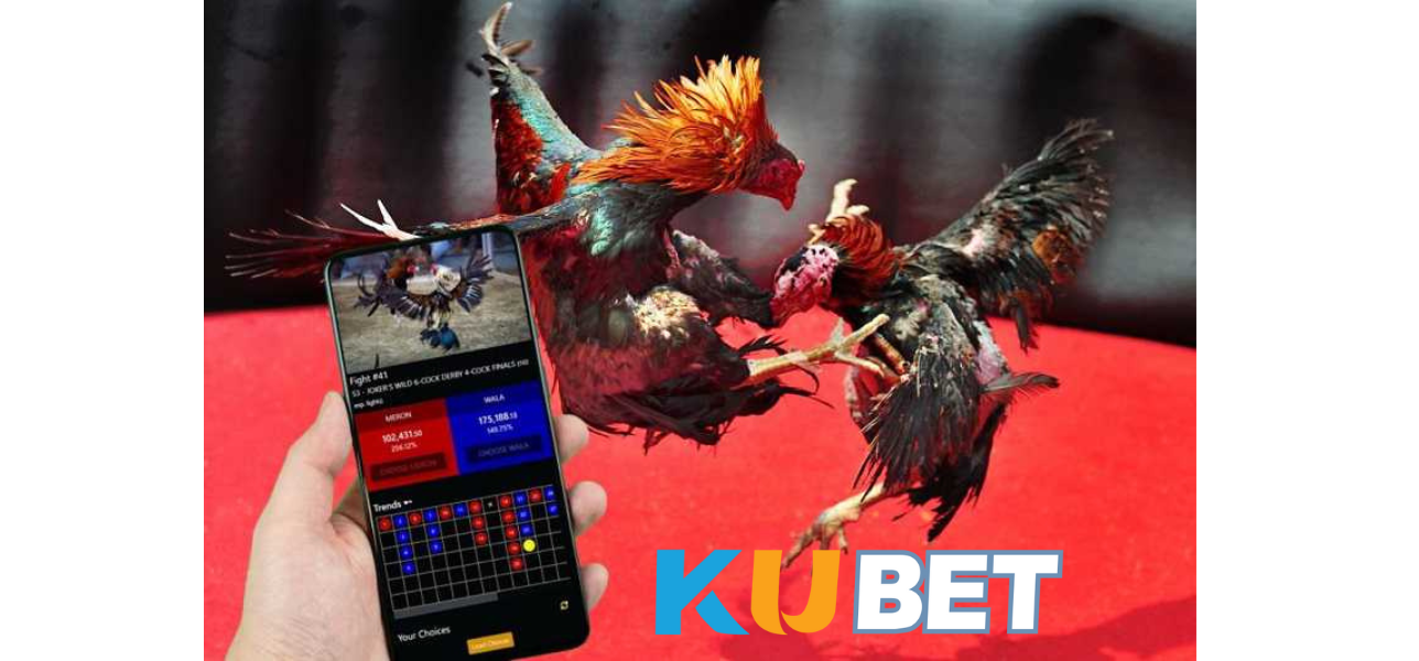 Hướng Dẫn Tham Gia Đá Gà Trực Tuyến CN3789.net